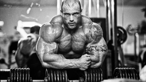Erfolge in der Fitness durch den Einsatz von Steroiden